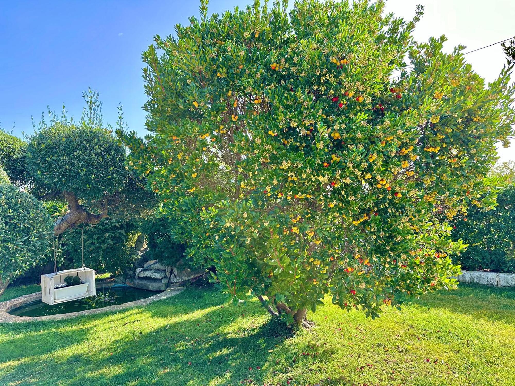 Trulli Fenice Alberobello Pokoj fotografie